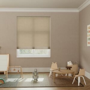 Honeycomb Light Filtering Cordless Blind