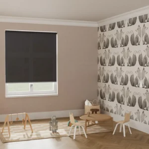 N-Vision Sunscreen Roller Blind